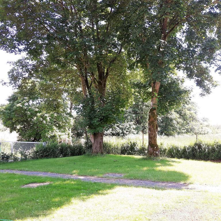 Landferien Eifel Apartamento Pittenbach Exterior foto